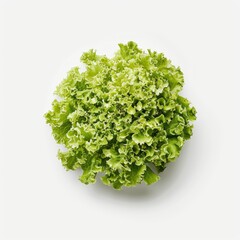 Fototapeta premium Medium shot of Fresh green lettuce, isolated on a white background, 