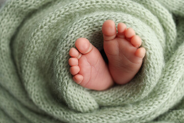 The tiny foot of a newborn. Soft feet of a newborn in a olive green woolen blanket. Close up of toes, heels and feet of a newborn baby. Studio Macro photography. Woman's happiness.