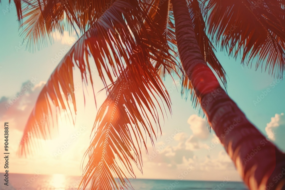 Poster a palm tree stands tall as the sun sets behind it, creating a warm and cozy atmosphere