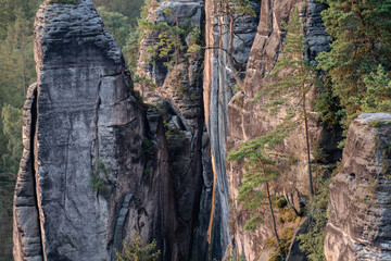 Sonnenaufgang – Blaue Stunde in der Sächsischen Schweiz – Bastei - Elbsandsteingebirge