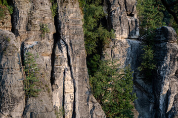 Sonnenaufgang – Blaue Stunde in der Sächsischen Schweiz – Bastei - Elbsandsteingebirge