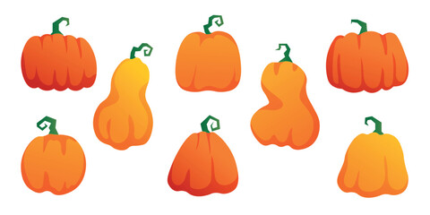 Set of orange and yellow pumpkins isolated on a white background. Thanksgiving Day, grain harvesting, healthy food