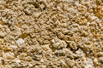 Texture of the shell rock limestone for background. Natural pattern