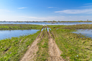 Flooded area near the Dnieper River in spring