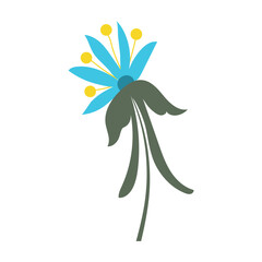 Colored flower icon Spring time Vector
