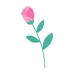 Colored flower icon Spring time Vector