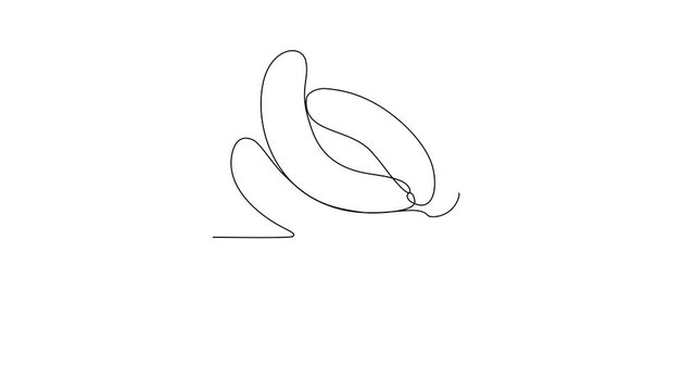 Animated self drawing of Sausage food video design illustration. Traditional food in simple linear style video design concept. Traditional foods have gained global popularity in world communities.