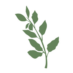 Isolated leaf icon Foliage Vector