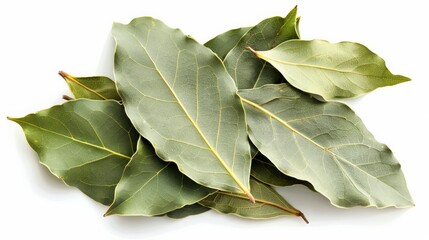 A collection of dried bay leaves, laid out on a white background, showcasing their natural texture and muted green color, often used for culinary purposes.