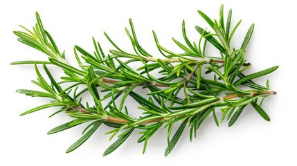 Fototapeta premium The image provides a detailed close view of rosemary sprigs placed on a white surface, focusing on the intricate texture of the leaves and the arrangement of the herbs.