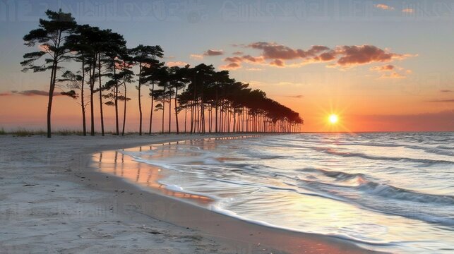   Sunset on the beach, trees in fg, waves in bkg