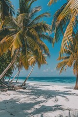 Fototapeta premium A serene beach scene with palm trees and the ocean in the background, perfect for travel or relaxation compositions