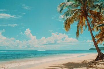 Fototapeta premium Two palm trees sit atop a sandy beach, perfect for a tropical scene or coastal landscape
