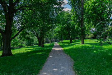 A very green park with trees and a path