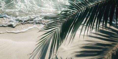 A palm tree's shadow falls on the sandy beach, suitable for summer vacation or travel related designs