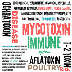 Effects of mycotoxins on the immune system in poultry, 	How mycotoxins impact poultry immunity, immune suppression, disorder immunity, aflatoxin, t2