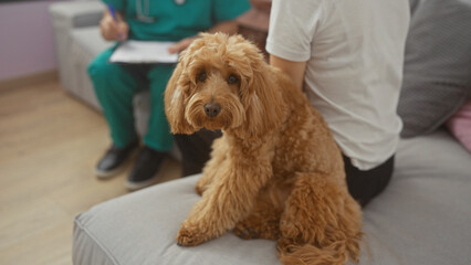 A dog sits attentively beside a man in scrubs on a couch in a cozy, well-lit living room, suggesting a home veterinary visit.