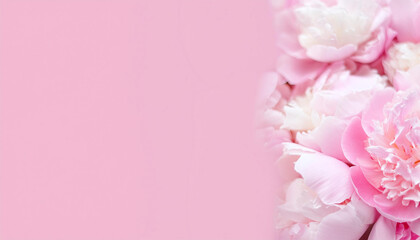 Fototapeta premium Soft focus wide banner, blurred rose color flower peony petals, close up macro nature background. Beautiful bloom backdrop. Pink white flowers top view, flowery wallpaper, pastel color floral pattern