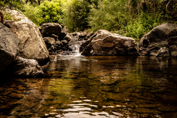 Pequeño río de montaña entre arboles y rocas.