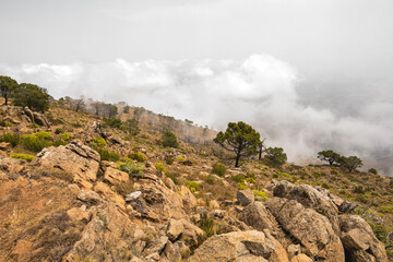 Cima de la montañas con nubes y niebla