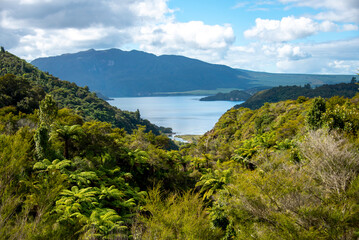 Rift Valley Crater in Waimangu Volcanic Valley - New Zealand