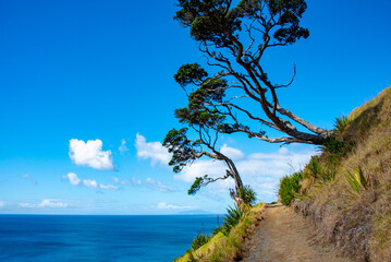 Mangawhai Cliff Walk - New Zealand