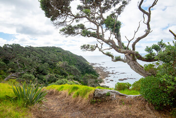 Mangawhai Cliff Walk - New Zealand
