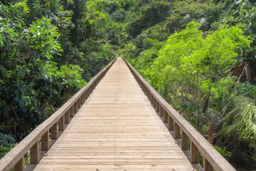 古い木の橋　Old long road bridge made of wood