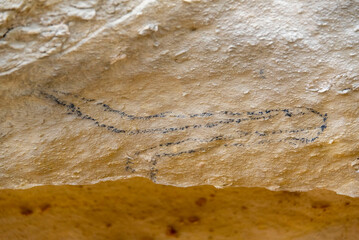 Takiroa Maori Rock Drawings - New Zealand