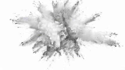 Fototapeta premium bright white paint color powder festival explosion burst isolated white background