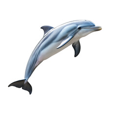 Fototapeta premium Playful dolphin leaping