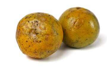 white isolated orange fruit with ugly skin