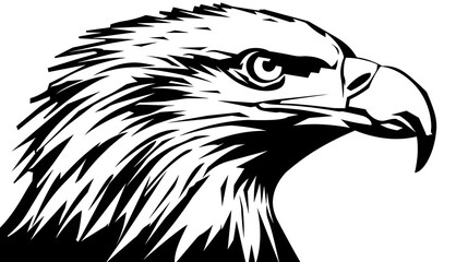 Obraz premium black silhouette of Bald Eagle illustration icon for logo, isolated on white background