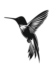 Obraz premium black silhouette of Hummingbird illustration icon for logo, isolated on white background