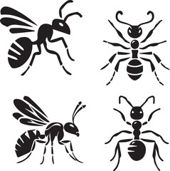 ant