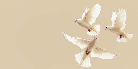 Elegant Funeral Invitation Template with Soaring Doves for Peaceful Memorial