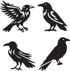 Fototapeta premium crow