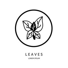 Logo vector design for business. Leaves logos.