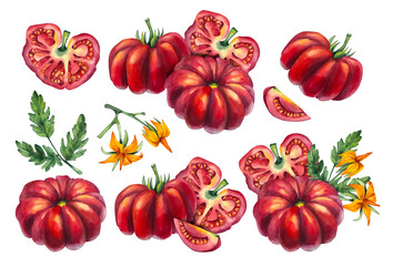 Watercolor tomato set. Tomato fruits, flowers and leaves isolated on white background. Hand drawn tomato groups. Tomatoes for packaging design, products, menu, food, etc.