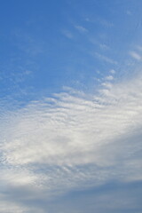Fototapeta premium White Clouds in Blue Sky