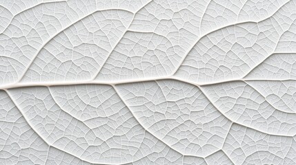 Intricate Veins: Detailed Close-up of Natural Leaf Texture Background, Generative Ai