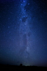 Fototapeta premium オーストラリア タスマニア島の星空