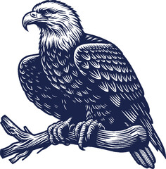 Eagle Vector, eagle silhouette, eagle Vector drawing	