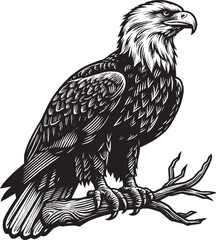 Eagle Vector, eagle silhouette, eagle Vector drawing	