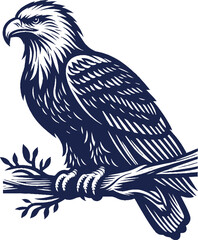 Eagle Vector, eagle silhouette, eagle Vector drawing	