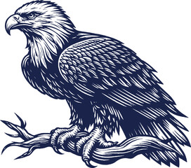 Eagle Vector, eagle silhouette, eagle Vector drawing	