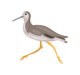 wader bird cartoon
