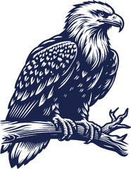 Eagle Vector, eagle silhouette, eagle Vector drawing	