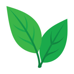 Green leaves flat vector illustration on white background