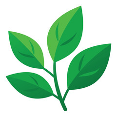 Green leaves flat vector illustration on white background